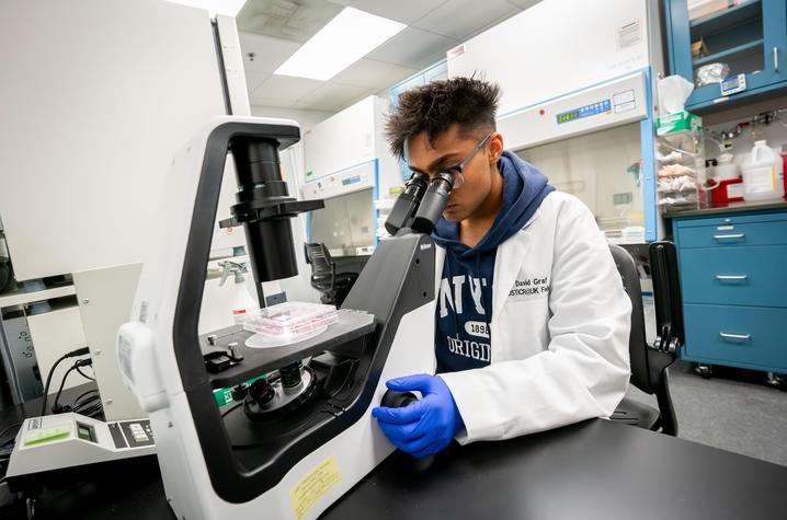 Photo of a student looking in a microscope